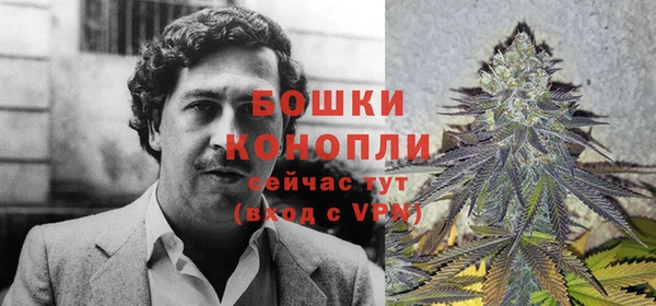 2c-b Гусиноозёрск