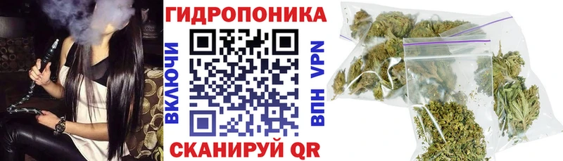 Бошки Шишки семена гидра ССЫЛКА Александровское